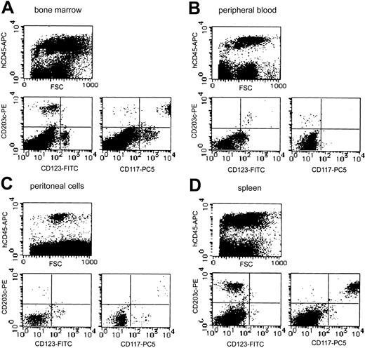 Figure 7. Representative flow cytometric analysis of bone marrow, peripheral blood, peritoneal cells, and spleen from NOG mice after HSC transplantation. Human mast cell and basophil development from the transplanted human CD34+ cells were identified as CD203c/Kit (CD117) double-positive cells and CD203c/IL-3 receptor α-chain (CD123) double-positive cells, respectively, in human CD45+ cells. The percentage of human CD45+ cells differed depending on the transplanted cord blood-derived cells, but the proportion of CD203c/Kit double-positive cells and CD203c/CD123 double-positive cells in reconstituted human CD45+ cells was similar in 4 independent experiments.