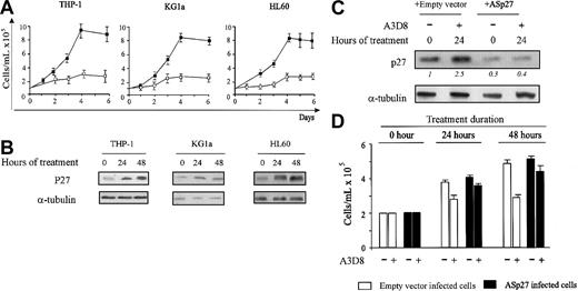 Figure 6. CD44 ligation inhibits cell growth and increases the p27 content in THP1, KG1a, and HL60 AML cell lines. (A-B) Exponentially growing THP1, HL60, and KG1a cells were seeded in 96-well culture plates in complete culture medium supplemented with the anti-CD44 mAb A3D8 (2.5 μg/mL) or IgG1 (controls) and were cultured for 4 to 6 days at 37°C. (A) Cell counts and viability were evaluated by the trypan blue exclusion test. Data are means ± 1 SD calculated from 3 independent experiments. These figures are from Charrad et al.19 (B) p27 and α-tubulin expression were analyzed by Western blotting with specific antibodies 0, 24, and 48 hours after addition of A3D8. Results represent 1 representative experiment of 3. (C-D) THP-1 cells were infected with empty vector- or ASp27 retrovirus-containing medium and treated 2 days later with A3D8 (time 0) as described in “Materials and methods.” (C) Western blot analysis of p27 in empty vector- (controls) and ASp27-infected THP-1 cells treated with A3D8 for 0 hours and 24 hours. Protein levels were evaluated by densitometric scanning, corrected with respect to α-tubulin expression, and expressed relative to the value obtained in empty vector-infected cells at time 0 (arbitrarily 1). These relative protein level values are shown in italics below the lanes. Results represent 1 representative experiment of 2. (D) Empty vector- and ASp27-infected THP-1 cells were cultured at 37°C in the absence or presence of A3D8. Cell numbers and viability were evaluated in triplicate by the trypan blue exclusion test. Data are means ± 1 SD calculated from 3 independent experiments using quadruplicate samples. Data obtained in A3D8- and IgG1-treated ASp27-infected cells are nonsignificantly different (P > .05, Mann-Whitney test).