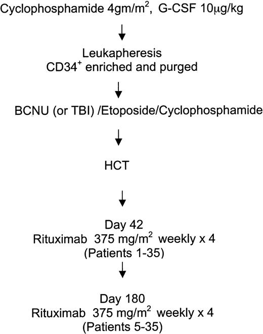 Figure 1. Schema for rituximab after HDT and autologous HCT.