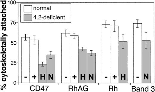 Figure 3. Cytoskeletal attachment of surface proteins in normal and 4.2-deficient RBCs. FIMD of CD47 on normal RhD-negative (-), normal homozygous RhD-positive (+), 4.2-Hammersmith (H), and 4.2-Nippon (N) cells shows significant changes in CD47 cytoskeletal attachment for 4.2-deficient RBCs. In 4.2-deficient RBCs, RhAG and Rh both have a reduced cytoskeletal connectivity compared to normal. The reduction of 30% in cytoskeletal attachment seen in band 3 is consistent with previous results for 4.2-Nippon RBCs.13