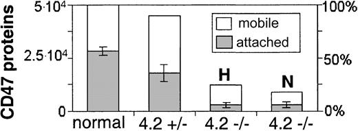 Figure 4. Approximate number of mobile and cytoskeletally attached CD47 surface proteins per cell on normal and 4.2-deficient RBCs. Overall numbers of CD47 on normal RBCs7 partitioned into either mobile or cytoskeletally attached. CD47 levels for 4.2-Hammersmith heterozygote (4.2+/-), 4.2-Hammersmith homozygote (4.2-/- H), and 4.2-Nippon (4.2-/- N) RBCs are presented as relative to the normal referenced levels.