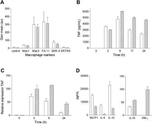 Figure 4. In vitro characterization of NF-κB1-/- and wild-type macrophages. (A) Expression of macrophage differentiation markers was quantified by flow cytometry after staining for the indicated markers. (B) Secretion of TNF by wild-type and NF-κB1-/- macrophages after stimulation with LPS (10 ng/mL) for the indicated times. (C) TNF expression of LPS (10 ng/mL)-stimulated wild-type and NF-κB1-/- macrophages, assessed by qPCR. (D) Secretion of cytokines by wild-type and NF-κB1-/- macrophages after LPS (10 ng/mL) stimulation for 6 hours (MCP1, IL-6, IL-12, IL10) or 24 hours (IFN-γ). Bars represent wild-type (□) and NF-κB1-/- (▧) BM-derived macrophages. (A-B) Representative for 3 experiments. (C-D) Representative for 2 experiments. Error bars indicate SD.