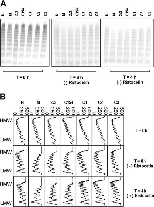 Figure 3. Proteolysis of VWF from Tyr/Cys1584 heterozygotes and randomly selected Tyr/Tyr homozygotes. (A) Multimer analysis of each cryoprecipitate at the start (T = 0 hours) of incubation with cryodepleted plasma as a source of ADAMTS13, and after further incubation in the presence (4 hours) and absence (8 hours) of ristocetin. M represents patient M, 2:3 represents the sister of patient M, C154 and C1-3 represent individuals from the random cohort of 200 people and N represents a healthy control. The extent of proteolysis is greater for M, 2:3, and C154 compared with the other samples tested. (B) Densitometric scans of the lanes in panel A. Each panel corresponds with an individual lane. The multimer profiles of all samples are similar at T = 0 hours; however, the extent of proteolysis for the heterozygotes M, 2:3, and C154 is greater than for the homozygotes C1, C2, and C3 after incubation in the presence or absence of ristocetin. In all cases, proteolysis is accompanied by a quantitative increase in the triplet bands. Horizontal axis is optical density: 0 = black, 500 = white.