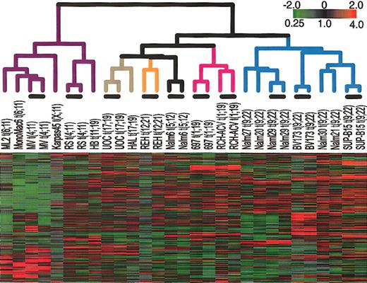 Figure 1. Agglomerative hierarchical clustering according to similarity in gene expression patterns in cell lines harboring translocations that are common in ALL. For each cell line, polyA-purified RNA and common reference polyA RNA8 were fluorescently labeled (with Cy5- or Cy3-dUTP) and comparatively hybridized to an array containing approximately 24 000 elements representing approximately 19 000 genes (NCBI Unigene Build no. 160). The variation in expression is displayed as a variation in color10 for the 331 clones (306 genes) for which the log2 intensity ratio differed by at least 2 from its mean on at least 2 arrays. The color scale extends from 0.25- to 4.0-fold of the mean (-2 to 2 in log2 space) as indicated in the upper-right corner. Gray represents data that was omitted because it was not well measured as described in “Materials and methods.” The black bars indicate duplicate measurements of the same cell line. The arms of the dendrogram are color-coded to indicate the chromosomal translocation associated with each branch: purple indicates MLL; brown, t(17;19); orange, t(12;21); black, t(5;12); pink, t(1;19); and blue, t(9;22). The broad features of the clustering patterns were robust to variations in gene selection criteria.