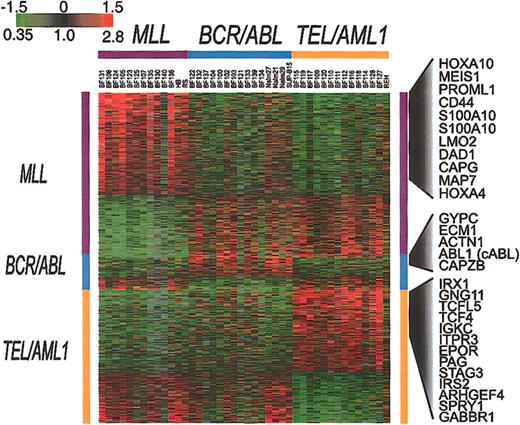 Figure 4. Genes whose expression is associated with BCR/ABL, TEL/AML1, or an MLL abnormality. SAM was applied to all well-measured clones for the set of 35 clinical samples and 7 cell lines that are shown in Figure 2. This analysis identified 901 clones, representing 844 genes (1000 permutations, delta = 0.34, median false positive = 3.1) associated with BCR/ABL, TEL/AML1, or an MLL abnormality. Each of the clones identified by this analysis was classified as being associated with one of these 3 chromosomal abnormalities. The clones were then ordered according to this classification.