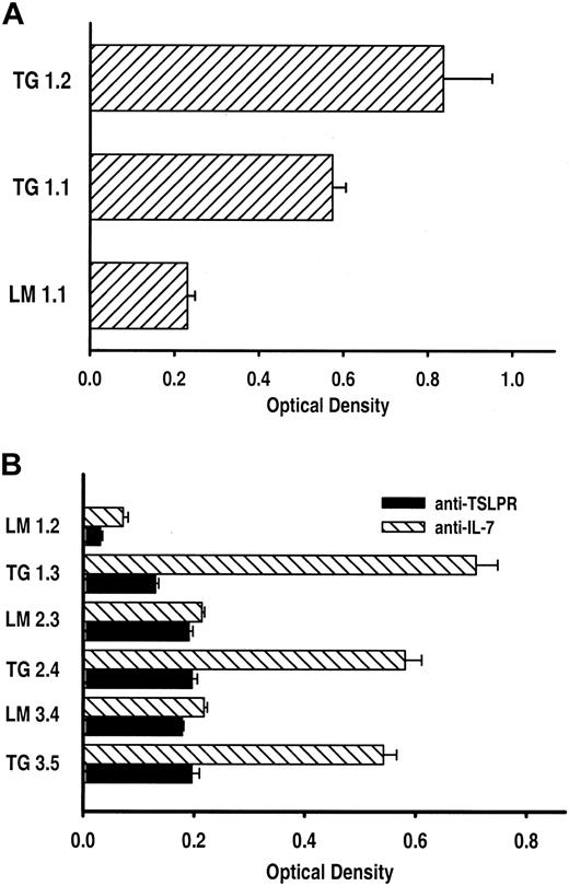 Figure 2. Detection of biologically active TSLP in the sera of transgenic mice. (A) Sera from TSLP transgenic (TG) mice but not wild-type littermates (LM) stimulated the proliferation of the cytokine-dependent NAG 8/7 cell line. Results are given as the optical density (OD) ± SEM, which is directly proportional to amount of cellular proliferation. The OD for the negative control, cells incubated in medium only (not shown), was 0.211 ± 0.004. The results are representative of 3 independent experiments. Note: The mice used in these experiments were killed at 5 weeks of age. (B) Anti-TSLPR but not anti–IL-7 blocked NAG 8/7 cell proliferation induced by sera from TSLP transgenic mice (TG). Sera from littermate (LM) controls did not stimulate NAG 8/7 cell proliferation in the presence of either antibody. Results are given as the optical density (OD) ± SEM, which is directly proportional to amount of cellular proliferation. The results are representative of 2 independent experiments. Note: The mice used in these experiments were killed at 5 (LM 1.2 and TG 1.3), 2 (LM 2.3 and TG 2.4), and 7 weeks of age (LM 3.4 and TG 3.5).