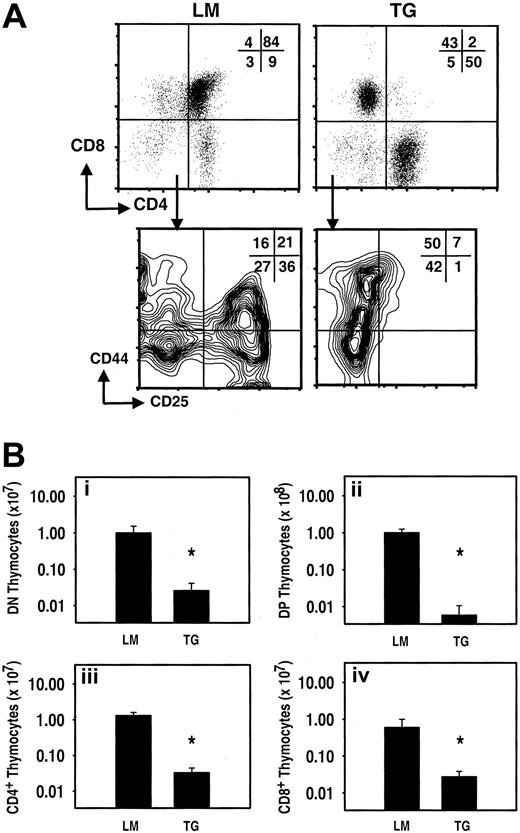 Figure 5. T-lymphopoiesis is inhibited at an early stage in thymocyte maturation in TSLP transgenic mice. (A) The top row shows plots that were generated by gating on viable cells. The normal distribution of thymocytes is altered in TG mice compared with LM controls. In LM controls (upper left), the DP thymocytes constitute the majority of the cells in thymus, whereas in TG mice (upper right), the majority of cells are in the CD4 and CD8 single-positive populations. The plot for DN thymocytes was generated by gating on viable CD4/CD8 DN cells. Each DN thymocyte subpopulation (I-IV) is present in the LM controls (lower left). There is a maturation arrest at the DN II stage of thymocytes development in TG mice (lower right). Note: These plots represent experiments performed on mice killed at 5 weeks of age. (B) Total numbers of thymocytes from TG and LM thymus. Compared to the LM controls, *TG mice have significantly fewer DN thymocytes (i; P = .004); DP thymocytes (ii; P = .002); CD4 single-single positive cell (iii; P = .002); and CD8 single-positive cells (iv; P = .004). The results are presented as the average number of thymocytes ± SEM (n = 6 and n = 7 for TG and LM mice, respectively).