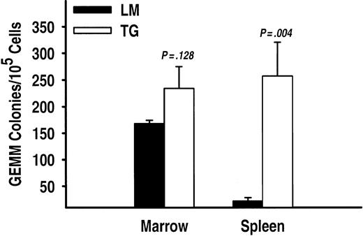 Figure 8. CFU-GEMM progenitor activity is significantly increased in spleen but not the bone marrow of TSLP transgenic mice. TG and LM mice have similar numbers of myeloid CFUs in the bone marrow; but in the spleen, CFU-GEMMs were significantly increased in TG mice compared to the wild-type controls (LM). The results are presented as the average number of CFU-GEMMs ± SEM from triplicate experiments (n = 2 and n = 3 for TG and LM animals, respectively).