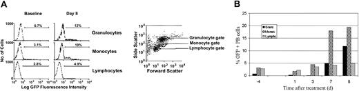 Figure 2. In vivo selection of GFP+ peripheral blood cells in monkey RQ2278 following treatment with TMTX and NBMPR-P. (A) This panel shows flow cytometry analyses for GFP expression in gated peripheral blood cells both prior to and 8 days after the initiation of drug treatment. Lymphocytes, monocytes, and granulocytes were gated on the basis of forward and side scatter characteristics as shown (left panel). Blood from an animal not receiving a transplant was used to set the gates as shown. Baseline proportions of GFP-expressing granulocytes (top row), monocytes (middle row), and lymphocytes (bottom row) are shown in the left panel. Percent GFP+ cells are indicated for each histogram. The right panel shows the proportions of GFP-positive cells detected 8 days after the initiation of the drug treatment course. (B) The percentage of GFP-positive peripheral blood cells measured 4 days before the initiation of the first treatment course and 1, 3, 7, and 8 days after drug treatment are shown. Values for granulocytes (▪), monocytes (▨) and lymphocytes (▦) are shown.