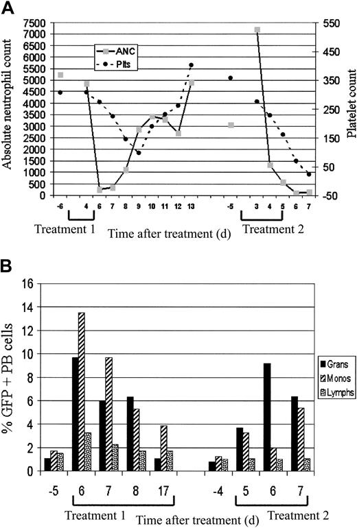 Figure 3. In vivo selection of GFP+ peripheral blood cells in monkey RQ2258 following 2 treatment courses with TMTX and NBMPR-P. (A) Changes in peripheral blood counts associated with 2 treatment courses. The graph shows changes in the absolute neutrophil count (▦) and the platelet count (•) associated with a first cycle of TMTX 6 mg/kg/d × 5 and NBMPR-P 3 mg/kg/d × 5, and a second treatment course with peg-SCF and G-CSF given 8 days concurrently with TMTX 6 mg/kg/d × 5 and NBMPR-P 3 mg/kg/d × 5. Baseline values are shown as discontinuous symbols, with continuous lines representing posttreatment values. Note that the left y-axis indicates neutrophil counts in cells per microliter and the right y-axis indicates platelet counts in thousands of cells per microliter. (B) Percentage of GFP-expressing peripheral blood cells prior to and following 2 treatment courses. The bar graph shows values for granulocytes, monocytes, and lymphocytes prior to and following the 2 treatment courses. Note the maximum value of the y-axis is 16% and that the 2 treatment courses are indicated by brackets on the x-axis.