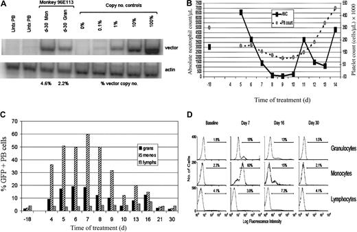 Figure 4. In vivo selection of GFP+ peripheral blood cells in monkey 96E113 following drug treatment. (A) Vector DNA copy number by PCR 30 days before drug treatment. DNA from Ficoll-purified granulocytes (Gran) and mononuclear cells (Mon) that was obtained from peripheral blood samples 30 days prior to drug treatment was analyzed for sequences from the MGirL22Y vector (top row) or endogenous β-actin genes (bottom row). As a negative control, whole PB DNA from an animal that did not receive a transplant (Untx) was assayed. Copy number controls represent serial dilutions of a single copy vector producer cell line, with the indicated percentage of vector copy per cell shown above each column. The calculated percentage of copy numbers, normalized for actin signal, are shown below each experimental sample. (B) Myelosuppression following an 8-day course with peg-SCF and G-CSF given concurrently with TMTX 6 mg/kg/d × 5 and NBMPR-P 3 mg/kg/d × 5. As before, baseline and posttreatment values are shown for the absolute neutrophil count and the platelet count. The axes are labeled as in Figure 3A. (C) Changes in the percentage of GFP-positive peripheral blood cells prior to, during, and following drug treatment. As indicated by the legend, flow cytometry measurements for GFP are shown for granulocytes, monocytes, and lymphocytes. Note the maximum value of the y-axis is 70%. All days are relative to the first day of drug treatment. (D) Representative flow cytometry data for granulocytes, monocytes, and lymphocytes obtained at baseline and at various days relative to the first day of treatment. Percent GFP+ cells are shown for each histogram.
