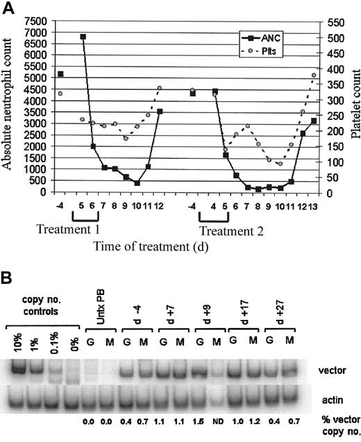 Figure 5. Drug treatment of monkey RQ2282 that received a transplant with cells containing a monocistronic DHFR resistance gene. (A) Changes in peripheral blood counts with 2 treatment courses. The first treatment consisted of 8 days of peg-SCF and G-CSF given concurrently with TMTX 6 mg/kg/d × 5, and NBMRP-P 2 mg/kg/d × 5. The second treatment course also included peg-SCF and G-CSG, as in the first treatment cycle, but with TMTX increased to 8 mg/kg/d × 5 and NBMPR-P 2 mg/kg/d × 5. Note the increased myelosuppression following the second course. (B) PCR analysis for quantitation of proviral DNA copy in samples from Ficoll-separated peripheral blood mononuclear cells (M) and granulocytes (G), at various time points after the second treatment course. The top row shows signals from the vector genome (DHFR primers), and the bottom row shows internal control for actin DNA sequences. The right-hand lanes show varying dilutions of producer cell and PG-13 DNA, with dilution ranging from 0 to 10% producer cell DNA. Samples from a monkey that did not receive a transplant (Untx PB) serve as negative controls. Samples from 4 days before treatment (d-4) and various days after the start of the treatment cycle are shown. Below each column is the actin-corrected, percentage copy number of cell as determined by PhosphorImager analysis.