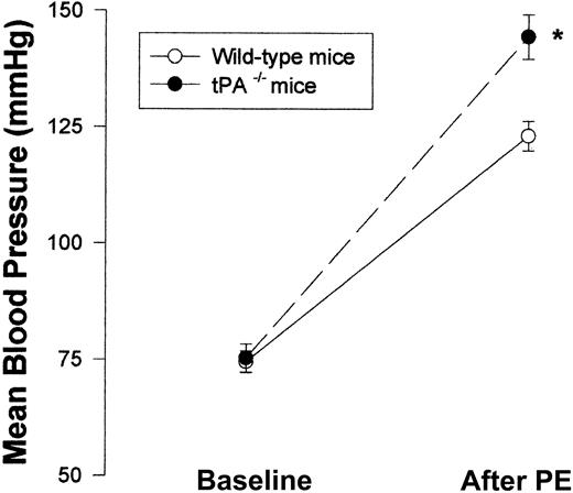 Figure 8. Effect of endogenous tPA on blood vessel vasoactivity. Mean blood pressure was monitored in WT and tPA–/– mice (n = 6 per group) at baseline and after intravenous injection of 0.1 μg PE. (Mean ± SD, *P < .0001 vs WT mice, 2-way ANOVA.)