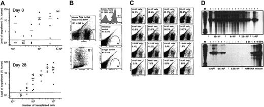 Figure 1. Engraftment of ex vivo expanded FL hematopoietic cells in NOD/SCID mice. (A) Summary of the levels of human cell engraftment in the BM of NOD/SCID mice given transplants with various doses of FL no. 841 cells, unexpanded (upper panel) or expanded for 28 days (lower panel). The percentage of human cells in the individual recipients was determined 8 weeks after transplantation by flow cytometry analysis of BM cells expressing human CD45. The dotted lines separate engrafted from nonengrafted animals, as confirmed by Southern blot analysis. More detailed analyses of the engraftment of expanded cells from this FL specimen are shown below. (B) Flow cytometry analysis of a highly engrafted representative mouse given transplants with 5 × 106 expanded FL no. 841 cells. About 56% of the cells in this mouse BM stained positively for the human pan-leukocyte marker CD45 (upper left panel, gate R1, and upper right panel, region M1); these human cells, once backgated to a forward/side scatter (FSC/SSC) plot, mostly fell within a typical viable (but heterogeneous) cell population (lower left panel). The middle and bottom right panels show a CD45 staining of a control (not transplanted) NOD/SCID mouse BM, and an isotypic control (mouse IgG1) of a positively engrafted NOD/SCID mouse, respectively. Both panels show only a few rare events falling in gate R1. (C) Representative examples of positive engraftment of NOD/SCID mice given transplants with 1 to 10 × 106 expanded FL no. 841 cells as indicated. Human cells appear in gate R1, and their percentages (of total BM cells) are shown in the respective panels. (D) Southern blot analysis of human cell engraftment in the BM of individual NOD/SCID mice given transplants with the indicated doses (0.25 to 10 × 106 TNCs) of FL no. 841 cells following 28 days of expansion. EcoRI-digested DNA (4 μg) was loaded in each lane, and the blot was hybridized to a human chromosome 17-specific α-satellite probe as described.9 Positive engraftment is indicated by plus signs above the respective lanes. Human/mouse (H/M) DNA controls are given as percentage of human DNA. M lanes were loaded with DNA molecular weight markers.