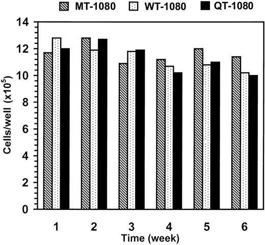 Figure 2. Growth rates of MT-1080, WT-1080, and QT-1080 cells in culture. MT-1080 cells, WT-1080 cells, and QT-1080 cells were initially plated at a density of 1 × 105 cells/well in a 6-well plate. Every 7 days, the cells were trypsinized, counted, and replated at the same seeding density.