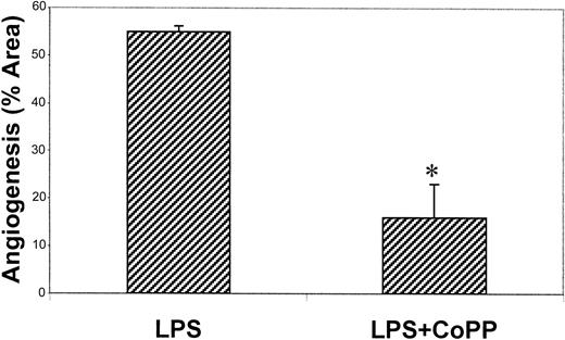 Figure 6. Effect of HO-1 induction on inflammatory angiogenesis in vivo. Matrigel containing LPS (10 ng/mL) plus CoPP (25 μM) was injected subcutaneously into C57BL/6 mice. After 6 days plugs were explanted and fixed in formalin and paraffin embedded. Quantification of neovascularization was performed on hematoxylin and eosin–stained sections as described in “Materials and methods.” The results are expressed as percentage ± SE of the vessel area with respect to the total Matrigel area. Nine mice were used per condition in each experiment. ANOVA with Dunnett multicomparison test was performed between LPS and LPS plus CoPP (*P < .05).