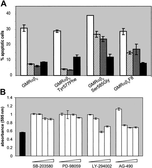 Figure 4. Ser585 of βc and PI 3-kinase activity are required for GM-CSF–mediated cell survival. (A) Cells were washed and plated out at 5 × 105 cells/mL in medium containing either no factor (white bars), 2 ng/mL GM-CSF (hatched bars), 20 ng/mL GM-CSF (dark gray bars), or 20 ng/mL control cytokine, IL-2 (black bars). After 48 hours, cells were costained with annexin V and propidium iodide and analyzed by flow cytometry as described in “Materials and methods.” The average of duplicate samples ± the standard deviations (SDs) are indicated. (B) CTL-EN cells expressing the wt GM-CSF receptor were washed and plated out as above in medium containing either no factor (solid) or 50 ng/mL GM-CSF (open) with increasing amounts of pharmacologic inhibitor. The SB203580 p38 MAP kinase inhibitor was used at 0, 0.2, 0.6, and 1.2 μM. The PD98059 MEK inhibitor was used at 0, 6, 12, and 20 μM. The LY294002 PI 3-kinase inhibitor was used at 0, 10, 30, and 50 μM. The AG490 JAK2 inhibitor was used at 0, 5, 20, and 30 μM. After 48 hours, cell viability was examined by the MTS reduction assay and measured at 490 nm. The average of triplicate samples ± SD are plotted.