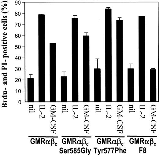 Figure 5. Ser585 or Tyr577 of βc are not required for GM-CSF–mediated cell cycle progression. CTL-EN cells expressing the wt GM-CSF receptor or the indicated mutants were washed and plated out at 1 × 105 cells/mL in RPMI containing 10% FCS and either no factor (nil), 20 ng/mL positive control cytokine IL-2 (IL-2), or 50 ng/mL GM-CSF (GM-CSF) for 20 hours, after which the cells were pulsed for 4 hours with 10 μM BrdU. The cells were then fixed, stained with anti–BrdU-Fluos, and counterstained with propidium iodide (PI). Cells positive for both BrdU and PI were analyzed by flow cytometry, and duplicate samples ± SD are plotted.