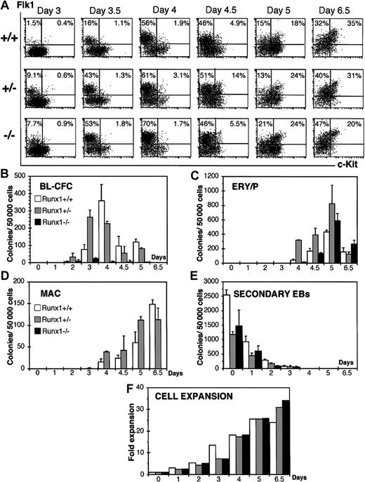 Figure 1. Kinetics analysis of EBs generated from wild-type (Runx1+/+), heterozygous (Runx1+/–), and deficient (Runx1–/–) ES cells. (A) FACS analysis of Flk1 and c-Kit expression on Runx1+/+, Runx1+/–, and Runx1–/– EB-derived cells. The days of differentiation are indicated. Numbers in each quadrant represent the percent of total population in each fraction. Number of blast colonies (B), primitive erythroid colonies (C), macrophage colonies (D), and secondary EB colonies (E) generated by Runx1+/+, Runx1+/–, and Runx1–/– EB cells. Days of differentiation are indicated. Bars represent standard error of the mean number of colonies from at least 3 cultures. (F) Expansion of cell numbers following differentiation of Runx1+/+, Runx1+/–, and Runx1–/– ES cells.