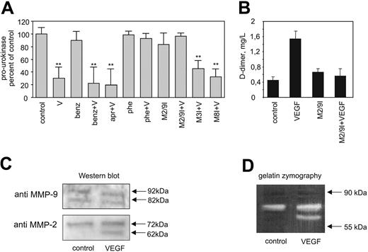 Figure 3. Metalloproteinase inhibitors inhibit the growth factor effect on pro-uPA activation and fibrinolytic activity. (A) Cell ELISA measurement of pro-uPA changes on the surface of VEGF-stimulated endothelial cells in the presence or absence of different protease inhibitors. 1,10-Phenanthroline (10 μM) as well as a specific gelatinase inhibitor (1 μM) prevented VEGF165 (50 ng/mL)-induced pro-uPA reduction from the cell surface, while benzamidine (10 μM) or aprotinin (50 kIE/mL) had no effect. Results are given in percent of fluorescence units of unstimulated cells, whereby single bars represent average of mean values ± SDs of 3 independent experiments. V indicates VEGF165; benz, benzamidine; apr, aprotinin; phe, 1,10-phenanthroline; M2/9I, ,MMP-2/9 inhibitor; M3I, MMP-3 inhibitor; and M8I, MMP-8 inhibitor. **P < .01 (n = 3). (B) d-dimer concentrations of supernatants from endothelial cells seeded on fibrin gels measured by a specific ELISA. Fresh supernatant was collected after 60 minutes. The VEGF165 effect was diminished in the presence of a specific gelatinase inhibitor (M2/9I, 1 μM). Single bars represent mean values of 3 independent experiments; error bars represent SDs. (C) Western blots for MMP-2 and MMP-9 from VEGF165-stimulated endothelial cell lysates. Specific mAbs against MMP-2 and MMP-9, respectively, were applied and visualized with subsequent chemiluminescence detection. Upper panel represents MMP-9 (zymogen 92 kDa and active form 82 kDa); lower panel, MMP-2 (zymogen 72 kDa and active form 62 kDa). (D) Gelatin zymography of endothelial cell lysates. The 62-kDa MMP-2 band significantly increases in intensity upon VEGF165 stimulation.
