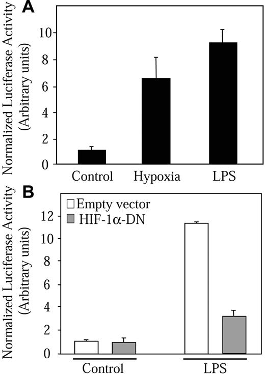 Figure 7. LPS stimulates HIF-1 transcriptional activity. (A) NR8383 cells (5 × 105 cells/well, 6-well plate) were transfected with 500 ng PRE-tk-LUC reporter construct and 250 ng of an expression vector coding for Renilla reniformis luciferase was used to normalize for transfection efficiency. (B) NR8383 cells were cotransfected with luciferase vectors as in panel A and either 4 μg pcDNA3 (□)or 4 μg pcDNA3-HA-DN-HIF-1α (▦). At 12 hours after transfection, cells were deprived of FBS for 16 hours. Cells were then maintained under either control conditions, hypoxic conditions, or in the presence of LPS (1 μg/mL) for 18 hours. At this point, NR8383 cells were lysed and luciferase activity was measured using the Dual-Luciferase Reporter Assay System. Results are expressed as a ratio of beetle luciferase activity over Renilla reniformis luciferase activity. Data expressed are an average ± SD of at least 3 independent experiments performed in triplicate.