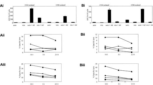 Figure 2. In vitro reactivation of Ad-specific CTL lines. The cell lines, from donors 1 (A) and 12 (B), were generated by PBMC stimulation with Ad5f35GFP-transduced DCs. In panels Ai and Bi, ELISPOT assays show the relative specificities of the CD4 and CD8 T cells. T cells were incubated with autologous LCL targets (auto) either alone or transduced with Ad5f35GFP (auto + Ad); negative controls were class I-mismatched LCLs alone (mis) or Ad5f35GFP transduced (mis + Ad). Results are expressed as SFCs per 5 × 103 cells. Panels Aii, Aiii, Bii, and Biii display the ability of these expanded T cells to kill autologous Ad-transduced targets in a standard chromium release assay using the same targets as described in the ELISPOT assay. Results are expressed as percent specific lysis of autologous LCLs alone (♦), allogeneic LCLs alone (▪), Ad5f35GFP-transduced autologous LCLs (▴), or Ad5f35GFP-transduced allogeneic LCLs (x). Panels Aii and Bii show isolated CD4+ T-cell cytotoxicity assay results, and panels Aiii and Biii show CD8-isolated T cells.