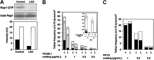 Figure 1. Constitutive Rap1 activation and spontaneous VLA-4-mediated cell tethering and arrest on VCAM-1 are impaired in LAD EBV B cells. (A) GTP-bound Rap1 in control and LAD EBV-transformed cells was detected with pull-down assays using GST-RalGDS-RBD (top). Total Rap1 levels were detected with anti-Rap1A (middle). (Bottom) Intensity levels of Rap1 GTP (▪) and total Rap1 (□) were assessed by an image analyzer and are shownin arbitrary units (AU). Rap1 GTP of LAD cells was reduced to 34 ± 7% of that in control cells (mean ± SD of 3 independent determinations). (B) VLA-4-mediated cell capture (transient tethers), rolling, and arrest on VCAM-1 are defective in LAD EBV (L) lymphocytes compared with control EBV cells (c). The categories of different tethers are expressed as percent of the total cells in direct contact with the adhesive substrates. White, gray, and black boxes represent transient, rolling, and arrest categories, respectively. Results are given as mean ± range of determinations in 2 independent experiments. (Inset) Enlarged graph showing categories of cells interacting with the lowest VCAM-1 concentration (0.2 μg/mL). Most of the adhesive interactions were blocked with the α4-specific mAb HP1/2, both on this low-density (shown) as well as on the higher VCAM-1 (not shown) substrates. (C) VLA-4-mediated tethering (□) and arrest (▪) to different densities of surface-bound α4-specific mAb HP1/2 are normal in LAD cells. Shown is 1 representative experiment of 3. Bio1211 at 1 to 10 ng/mL did not interfere with either type of tether to the surface-bound mAb in either control or LAD cells (not shown).