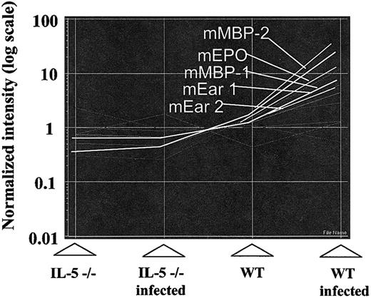 Figure 4. As in Figure 3, the relative expression patterns of eosinophil granule protein genes mEPO (mouse eosinophil peroxidase), mMBP-1 and mMBP-2 (mouse major basic protein), and mEar-1 and mEar-2 (mouse eosinophil-associated ribonucleases 1 and 2). NB indicates the probes used on the array will also cross-react with all mEars save for 4, 5, 11, and 14.