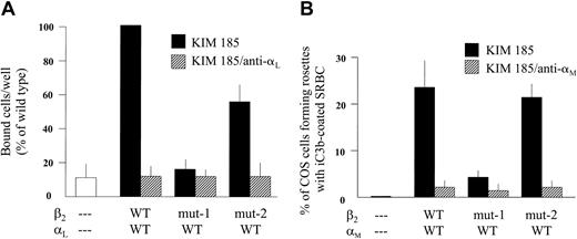 Figure 3. Adhesion to solid-phase purified ICAM-1 or rosetting with iC3b-opsonized sheep RBCs (SRBCs) by cotransfected COS-7 cells. COS-7 cells transfected with the wt, mut-1, or mut-1 β2 subunit plus the wt LFA-1 α subunit (A) were activated with the KIM185 mAb and added (105 cells) to triplicate ICAM-1-coated microtiter wells for 15 minutes at 37°C. After removing nonadherent cells by 3 gentle PBS washes, the number of cells retained in each well was directly counted by microscopy (see Figure 2). The mean value for LFA-1/wtβ2 cells was set at 100% for each experiment, and all other values for that experiment were expressed as a percentage of that standard. As shown, binding to ICAM-1 by cells transfected with mut-1 β2 was no different than the background level observed for untransfected cells, consistent with nearly absent LFA-1 expression (see Figure 2). Binding by cells expressing LFA-1 with mut-2 β2 was diminished by about 50% compared with wt β2 (P < .05; n = 4), indicating diminished functional activity of LFA-1 containing mut-2 β2. Treatment with mAb R3.1 after activation with KIM185 completely abrogated binding to ICAM-1, confirming the LFA-1 dependence of binding. (B) SRBCs opsonized with iC3b as described in “Patients, materials, and methods” (5 × 107 cells) were mixed with COS-7 cells that had been transfected with the wt Mac-1 α subunit plus the wt, mut-1, or mut-2 β2 subunit (105 COS-7 cells). After 30-minute incubation at 37°C, as described, the cell mixtures were examined by light microscopy for rosette formation, defined as at least 3 SRBCs bound to one COS-7 cell. As shown, COS-7 cells transfected with mut-1 β2 exhibited very low levels of rosetting compared with cells transfected with wt β2. In contrast, COS-7 cells transfected with mut-2 β2 formed rosettes to the same extent as cells transfected with wt β2, indicating that the mut-2 β2 subunit had no effect on Mac-1-mediated binding. Treatment of COS-7 cells with mAb 60.1 after activation with KIM185 virtually abrogated rosetting, confirming the Mac-1 dependence of this function. Error bars indicate SEM.