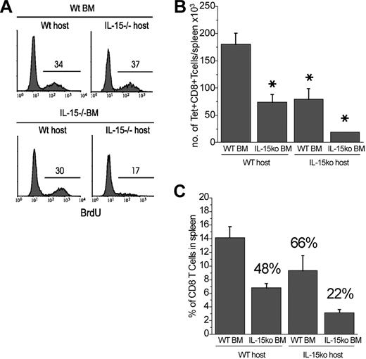 Figure 1. IL-15 produced by BM-derived or non-BM-derived cells can mediate memory CD8 T-cell proliferation. Combinations of BM chimeras were generated using IL-15-/- and B6 mice as a source of BM or as hosts. Ten weeks after reconstitution, mice were infected with VSV. Forty days after infection, mice were given BrdU in their drinking water for 4 weeks. Mice were killed and spleen cells were stained with anti-BrdU, N-tetramer, and anti-CD8. Panel A shows the BrdU intensity of N-tetramer-positive, CD8+ gated cells (*P < .05). (B) The total number of N-tetramer-positive cells recovered from spleens 10 weeks after VSV infection. (C) The percentage of CD8 T cells present in the spleen of each type of BM chimera. The values above each bar represent the percentage of control (Wt → Wt). Error bars indicate standard deviation.
