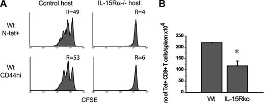 Figure 3. IL-15Rα expression by host cells is crucial for memory CD8 T-cell proliferation. Spleen cells from VSV-infected B6 mice were enriched for CD8 T cells, labeled with CFSE, and transferred to either normal or IL-15Rα-/- hosts. Approximately 10 × 106 CD8 T cells containing 0.5 × 106 tetramer-positive cells were transferred into each mouse. Mice were killed 4 weeks later. (A) Lymphocytes from spleen were analyzed for CFSE intensity after gating on either N-tetramer-positive CD8+ T cells or CD44hiCD8+ T cells. R indicates the percent of cells that responded. Panel B shows the number of tetramer-positive cells recovered from the spleens of each group of mice. Error bars indicate SD (P < .05).
