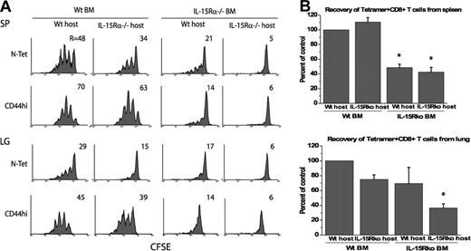 Figure 4. IL-15Rα expression by BM-derived cells mediates memory CD8 T-cell proliferation. Spleen cells from VSV-infected B6 mice were enriched for CD8 T cells, labeled with CFSE, and transferred to various BM chimeras (10 × 106 CD8 T cells/mouse). Forty days after transfer, lymphocytes from spleen (SP) and lung (LG) were analyzed for CFSE intensity, N-tetramer reactivity, and CD8 and CD44 expression. (A) Histograms showing intensity of CFSE on N-tetramer-positive CD8+ T cells and CD44hiCD8+ T cells. R indicates the percent of cells that responded. (B) Comparison of the amount of tetramer-positive CD8+ T cells recovered from the spleen and the lung from each group of BM chimeras. Control chimeras are represented by the Wt → Wt. Error bars indicate SD (P < .05).