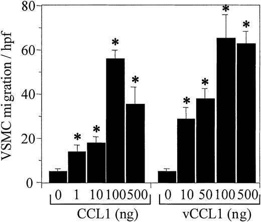 Figure 1. CCL1 (I-309) and vCCL1 (vMIP-1) induce chemotaxis of human vascular smooth muscle cells (VSMCs). Varying concentrations of either CCL1 or vCCL1 were placed in the lower wells, and cultured VSMCs were added to the upper wells of the Neuroprobe chemotaxis chambers. The Neuroprobe membrane (5-μm pores) was coated with fibronectin. Incubation, staining, and counting of the cells was performed as described in “Materials and methods.” Both CCL1 and vCCL1 induced chemotaxis of VSMCs in a bell-shaped distribution, characteristic of a chemotactic response. *P < .001 comparing VSMCs stimulated with either CCL1 or vCCL1 against cells stimulated with buffer. (hpf indicates high-power field.) Error bars represent SD.