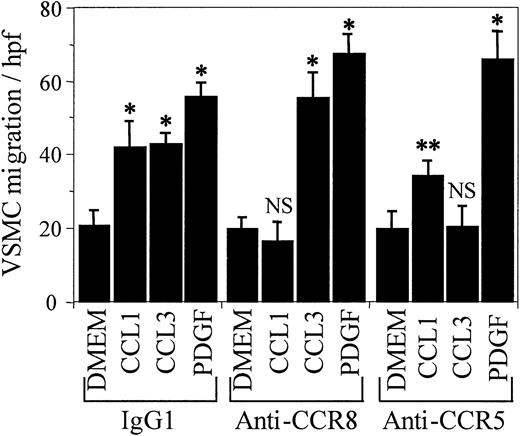 Figure 4. The inhibition of CCL1-induced chemotaxis of VSMCs by anti-CCR8 is specific. Media, CCL1 (100 ng/mL), CCL3 (MIP-1α; 100 ng/mL), or PDGF-BB (10 ng/mL) was added to the bottom wells of the chemotaxis chamber. VSMCs, in the presence of IgG1, anti-CCR8, or anti-CCR5 (1 μg/mL), were added to the top wells and the chemotaxis assay was performed as detailed in “Materials and methods.” IgG1, the isotypic antibody control, did not inhibit the chemotactic response of human VSMCs to CCL1 (C1), CCL3, or PDGF-BB (*P < .005). Anti-CCR8 completely inhibited CCL1-induced VSMC chemotaxis but had no inhibitory effect on the chemotaxis induced by CCL3 or by PDGF (P < .005). Antibody directed against the CCL3 receptor CCR5 inhibited the chemotactic response of VSMCs to CCL3 but not to either CCL1 (**P < .003) or to PDGF-BB (*P < .005). This study shows that the inhibition of chemotaxis by anti-CCR8 is specific and not due to a hindrance of chemotaxis due to the attachment of an antibody to a cell-surface receptor. Error bars represent SD.