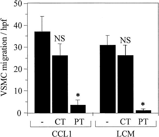 Figure 5. Pertussis toxin inhibits VSMC chemotaxis induced by CCL1 and by Lp(a) conditioned medium (LCM). CCL1 and LCM prepared as detailed in the legend for Figure 3 were tested for chemotactic activity using VSMCs pretreated with either pertussis or cholera toxin as described in “Materials and methods.” Pertussis toxin (PT) inhibited VSMC chemotaxis in response to both agonists (*P < .00001), whereas cholera toxin (CT) did not inhibit chemotaxis (NS). These data confirm that Gi-coupled protein receptors are involved in the chemotactic response of VSMCs to CCL1 and LCM. Error bars represent SD.