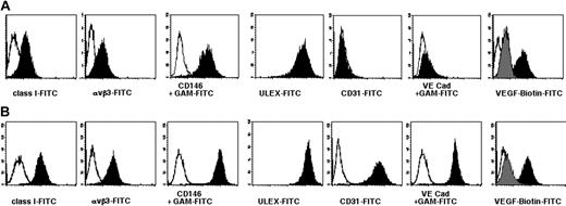 Figure 4. Single-color flow cytometric analysis of RESDECs and HUVECs. (A) RESDECs. (B) HUVECs. Appropriate isotype control is indicated by an open plot, and indicated antibody by filled plot. Antibodies were either directly FITC-conjugated, or unconjugated antibodies were followed by staining with an FITC-conjugated goat antimouse (GAM-FITC) secondary antibody, as indicated. In the last panels, VEGF binding was measured using biotinylated VEGF followed by avidin-FITC (black plot). Specificity for VEGF staining is demonstrated by blocking with an anti-VEGF antibody (gray plot).