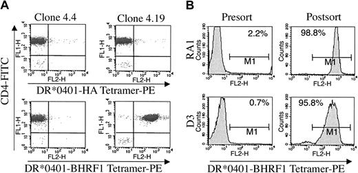 Figure 3. Staining and sorting of CD4 T cells by DR*0401/BHRF1 multimers. (A) Clone 4.19 (right) was stained by the DR*0401/BHRF1 tetramer (bottom) but not by the irrelevant DR*0401/HA tetramer (top). Another clone from donor RA1, clone 4.4 (left), that did not recognize BHRF1 in the EBV vaccinia assay, was not stained by the DR*0401/BHRF1 tetramer. Cells were double-stained with 20 μg/mL of DR*0401 tetramers and with 10 μg/mL monoclonal antibody against CD4. (B) Yield of sorting of BHRF1-specific cells by using DR*0401/BHRF1 monomers coated on magnetic beads. Synovial CD4 T cells from patient RA1 and CD4 PBLs from healthy donor D3 were stained by DR*0401/BHRF1 tetramers before (left) and after (right) sorting with DR*0401/BHRF1 monomers coated on magnetic beads. Sorted cells were expanded for 3 weeks under polyclonal stimulation before being stained with DR*0401/BHRF1 tetramers. Percentage of cells staining with tetramers is indicated. Bar indicates the range of fluorescence where the cells were scored positive.
