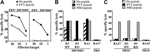 Figure 6. Cytolytic activity of the DR*0401-restricted BHRF1-specific CD4 T-cell clone A22 toward DR*0401+ B-LCL is EBV dependent. (A) Cytolytic activity of clone A22 toward the autologous B-LCL (EBV+, DR*0401+) or toward the CD8 T-cell clone A2.10 directed against BMLF1/HLA-A*0201 (EBV–, DR*0401+). Unlike the autologous B-LCL (left), clone A2.10 (right) was not killed by the BHRF1-specific CD4 T-cell clone A.22, unless it was loaded with PYY peptide. (B) The CTL clone A22 recognized the DR*0401+ B-LCL from donor D3 transformed with the wild-type EBV (WT) but not the same B-LCL transformed with a viral mutant with a KO for BHRF1 gene (KO). The 2 B-LCLs were recognized after loading with PYY peptide. The DR*0401+ B-LCL from donor RA1 and the DR4– B-LCL from donor RA17 were included as positive or negative control, respectively. (C) Clone P4.2 (donor RA17), responding to EBNA3C in the HLA-DR16 context, was used as a control to verify that the BHRF1-KO B-LCL from donor D3 was able to present an epitope from the latent protein EBNA3C. Clone P4.2 did not exhibit spontaneous lysis toward DR16+ B-LCL, but it killed its autologous B-LCL, as well as the WT and the BHRF1-KO B-LCLs from donor D3 (DR4+, DR16+), once loaded with the EBNA3C100-111 peptide (PHD). Results are expressed as percent specific lysis.