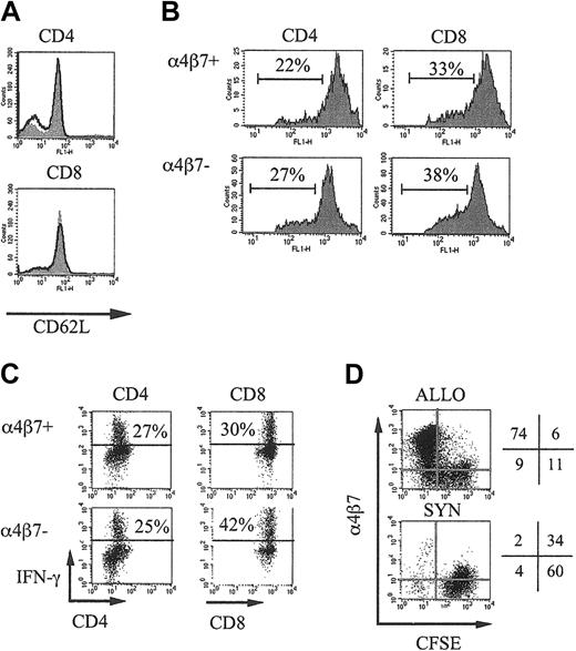 Figure 1. α4β7+ and α4β7– selected T cells do not differ in CD62L expression and alloreactive proliferation and cytokine secretion. (A) B10.BR splenic T cells were selected by magnetic separation, stained with anti-α4β7 antibodies, and separated in α4β7+ (filled curve) and α4β7– (bold line) populations by flow cytometric–assisted cell sorting. These populations were again analyzed for CD4, CD8, and CD62L expression after sorting. (B) α4β7+ and α4β7– sorted donor B10.BR T cells were labeled with CFSE and transferred into irradiated (750 cGy) CBA recipients, and donor splenic T cells from these recipients were analyzed after 40 hours. The number of dividing CD4+ or CD8+ CFSE-labeled donor T cells is indicated. (C) α4β7+ and α4β7– sorted B10.BR T cells and B10.BR TCD-BM were transferred into irradiated (750 cGy) CBA recipients, and 3 days later splenocytes from these recipients were incubated for 5 hours with PMA and Ionomycine. Brefeldin was added during the last 3 hours of this incubation. Donor (Ly9.1–) CD4+ or CD8+ T cells were analyzed for their intracellular IFN-γ expression. (D) B6 splenic T cells were labeled with CFSE and transferred into irradiated (750 cGy) syngeneic B6.Ly5.1 or allogeneic C3FeB6F1 recipients. After 3 days the expression of α4β7 on CFSE-labeled donor T cells in the spleen was determined.