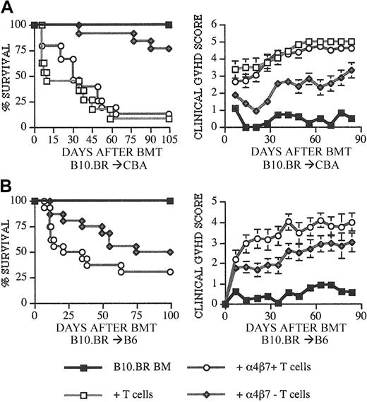 Figure 2. Recipients of α4β7+ T cells have increased GVHD mortality and morbidity. Lethally irradiated (1300 cGy) CBA (A) and (1100-1200 cGy) C57BL/6 (B) recipients received transplants with B10.BR TCD-BM (5 × 106) and splenic T cells (0.5-1 × 106). T cells were included in the allograft as unsorted or α4β7+ CD3+ and α4β7– CD3+ sorted populations from B10.BR donors. (A-B) Kaplan-Meier and clinical GVHD score (± SEM) curves are shown that represent 4 (BM only), 8 to 11 (BM + T cells), and 13 to 16 (BM + α4β7+ or α4β7– T cells) recipients per group from 2 combined experiments. Statistical analysis is as follows: (A) left, ○ versus ♦ P = .007, □ versus ♦ P < .0001; right, ○ versus ♦ P < .01, □ versus ♦ P < .01. (B) Left, ○ versus ♦ P = .0179; right, ○ versus ♦ P < .02.