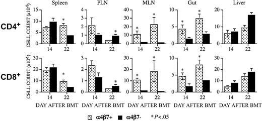 Figure 3. Recipients of α4β7+ T cells have significantly higher numbers of α4β7+ donor T cells in their intestinal mucosa and mesenteric lymph nodes. CBA mice received transplants as described in Figure 2. Recipients of α4β7+ and α4β7– T cells were killed on days 14 and 22 after BMT. Infiltrating α4β7+ T cells of donor origin were determined by multicolor flow cytometry in multiple organs. Top panels represent averages of absolute cell numbers (± SE) of α4β7+ CD4+ donor cells in spleen (day +14, n = 8; day +22, n = 9), peripheral lymph nodes (PLNs; day +14, n = 4; day +22, n = 4), mesenteric lymph nodes (MLNs; day +14, n = 3-4; day +22, n = 3-5), small intestine (gut, day +14, n = 3-4; day +22, n = 4-5) and liver (day +14, n = 6-7; day +22, n = 8-9). Bottom panels represent averages of absolute cell numbers of α4β7+ CD8+ donor cells in the above mentioned organs. *Signifies statistically significant P values.