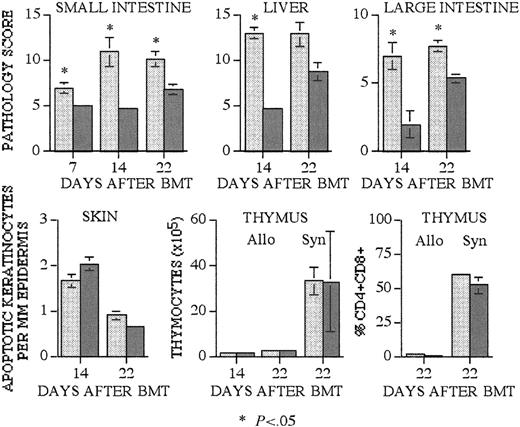 Figure 4. Recipients of α4β7+ T cells have significantly increased GVHD organ pathology in intestines and liver. Lethally irradiated CBA (1300 cGy) mice received transplants as described in Figure 2. As a syngeneic BMT control for posttransplantation thymic cellularity, additional lethally irradiated (1100 cGy) B10.BR recipients received transplants. Recipients of B10.BR α4β7+ (light gray bars) and α4β7– (dark gray bars) T cells were killed on days 7, 14, and 22 after BMT, and tissues were obtained for histopathologic analysis. Small intestine, large intestine, and liver were scored for established organ-specific parameters in a blinded fashion (mean score ± SEM). Skin GVHD was determined by the number of apoptotic keratinocytes per millimeter of epidermis (±SEM), and thymic GVHD was assessed by the total number (±SEM) of thymocytes and the percentage (±SEM) of double-positive CD4+CD8+ thymocytes. Group sizes are as follows: small intestine, day 7 (3-4 animals), day 14 (4-6), and day 22 (6-7); liver, day 14 (3-6) and day 22 (7-9); large intestine, day 14 (3-5) and day 22 (7-8); skin, day 14 (14) and day 22 (12); thymus, day 14 (7-8) and day 22 (9); thymus syngeneic (5). Statistical analysis is as follows: small bowel, day 7 P = .03, day 14 P = .01, day 22 P = .006; liver, day 14 P = .02; large intestine, day 14 P = .037, day 22 P = .003.