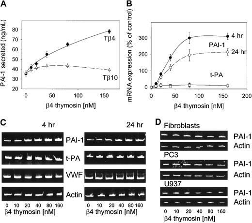 Figure 1. Tβ4 induces expression of PAI-1 in ECs. (A) Release of PAI-1 from HUVECs. These cells planted in 48-well microplates were starved overnight in medium containing 0.1% FBS and then stimulated for 20 hours with different concentrations of Tβ4 or Tβ10 (0-160 nM). Afterward, the supernatants were collected and assayed for PAI-1 antigen by ELISA using an Elisa-Imulyse PAI-1 (Biopool). The graph shows the average ± SD of duplicate measurements performed during 3 experiments. (B) Relative quantitative RT-PCR analysis of PAI-1 mRNA ± SD. In these experiments, EA.hy 926 cells were stimulated for 4 and 24 hours with different concentrations of Tβ4 (0-160 nM), then total cellular RNA was extracted. RT-PCR followed by staining with ethidium bromide was used to determine PAI-1 and t-PA mRNA levels. This experiment has been repeated 3 times with similar results. (C) Increase in PAI-1 mRNA but not in t-PA, VWF, and actin mRNAs on incubation of EA.hy 926 cells with different concentrations of Tβ4 for 4 and 24 hours. (D) When Tβ4 is used in the same concentration range as in the case of EA.hy 926 cells, it has no effect on the PAI-1 expression in human fibroblasts, PC3, and U937 cells.