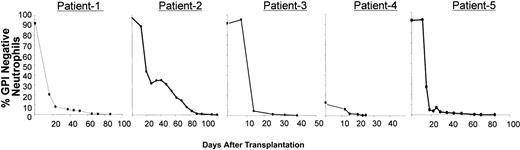 Figure 2. Decline in the percentage of GPI-anchored protein–negative granulocytes after transplantation. The percentage of GPI-anchored protein–negative granulocytes was measured by flow cytometry (CD15+/CD66b–/CD16–) in 5 patients before and multiple time points after nonmyeloablative hematopoietic cell transplantation. Detection of GPI-negative granulocytes after neutrophil recovery is consistent with the conditioning regimen being nonmyeloablative. The initial decline in GPI-negative populations occurred as a consequence of nonmyeloablative conditioning. The complete erradication of GPI-negative neutrophils in all patients by 25 to 118 days (median, 85 days) after transplantation occurred as a consequence of a graft-versus-host hematopoietic effect.