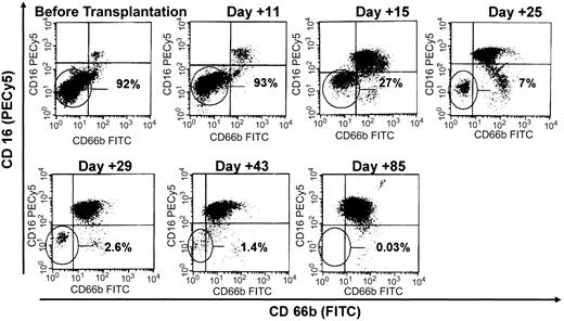 Figure 3. Gradual decline in GPI-anchored protein–negative granulocytes in a PNH patient after nonmyeloablative HCT. Granulocytes were analyzed in patient no. 5 before and multiple time points after transplantation using CD15 (PE) as a non-GPI–anchored protein and CD66b (FITC) and CD16 (PECy5) as GPI-anchored proteins. Following the white blood cell nadir, a population of GPI-negative granulocytes was detected beginning at neutrophil recovery.
