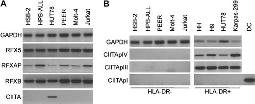 Figure 2. RFX and CIITA expression profiles in malignant T cells. (A) The presence of RFX5, RFXAP, RFXB, and CIITA mRNA was detected using RT-PCR analysis on cDNA from several T-ALL cell lines and the T-cell lymphoma HUT78. (B) The usage of CIITA promoters PI, PIII, and PIV was investigated on HLA-DR–negative and HLA-DR–positive malignant T cells using RT-PCR analysis. GAPDH was used as control for equal cDNA loading. DC indicates dendritic cells.