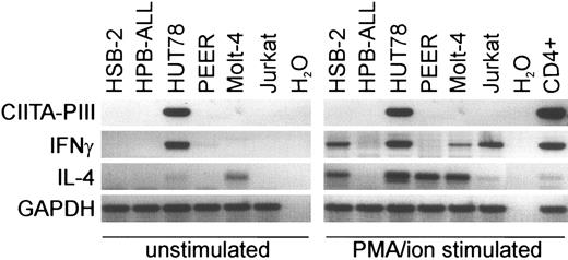 Figure 3. Lack of CIITA expression after stimulation in T-ALL cell lines. T-cell lines were unstimulated or stimulated with 10 ng/mL PMA and 1 μg/mL ionomycin in the medium for 4 days. RT-PCR analysis was then performed with primers specific for CIITA-PIII, IFNγ, or IL-4. GAPDH was used as control for equal cDNA loading. H2O indicates water control; CD4+, CD4+ peripheral human T cells activated with 10 ng/mL PMA and 1 μg/mL ionomycin for 4 days.