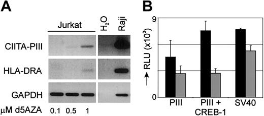 Figure 6. Modification of CIITA-PIII affects CIITA and MHC class II expression. (A) Jurkat T-ALL cells were treated with 0.1, 0.5, or 1 μM of the demethylation agent 5-AZA-2′-deoxycytidine for 3 days and mRNA was used for the detection of CIITA-PIII and HLA-DRA expression by RT-PCR analysis. Raji cDNA is used as a control for CIITA-PIII and HLA-DRA amplification. (B) Isolated CIITA-PIII and SV40 promoter fragments were either unmethylated (▪) or in vitro methylated (▦) , ligated back into the pGL3-vector, and transfected in Jurkat T cells. Unmethylated and methylated CIITA-PIII was also cotransfected with a CREB-1 expression vector.28 Promoter activity was measured 2 days after transfection and was normalized with a β-actin–Renilla construct. Promoter activity is indicated as relative luciferase units (RLUs). Error bars represent SD.