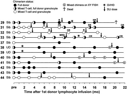 Figure 2. Chimerism responses and GVHD occurrence following DLI for mixed chimerism. Results are shown starting from the chimerism result immediately prior to the first DLI dose. Subsequent DLI doses are indicated by the arrows. In those patients subsequently receiving DLI for relapse the disease responses are also indicated: CR, complete response; PR, partial response; R, relapse/progression; NR, no response; MRD, minimal residual disease.