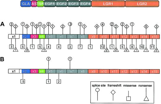 Figure 1. Distribution of PROS mutations associated with quantitative and qualitative PS deficiency. The domain structure of PS is shown at the top of the figure, and the color coding indicates the corresponding exon encoding each protein domain. The numbers inside squares, diamonds, triangles, and circles denote the numbers of different missense, frameshift, nonsense, and splice site mutations, respectively, for each PS domain. (A) Mutations causing quantitative PS deficiency are distributed throughout the PROS. Data source available from heterozygous, homozygous, and compound heterozygous states compiled by Gandrille et al8 and from 19 new mutations recently published after a Medline search (key words: protein S, mutations) between July 1999 and September 2002. (B) Mutations causing qualitative PS deficiency tend to locate in the Gla and EGF-like domains of the PROS. AS indicates aromatic stack; TSR, thrombin-sensitive region; EGF, epidermal growth factor–like domain; LGR; laminin-G type repeat.